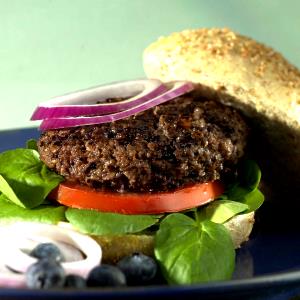 1 serving Perfect Patty - Blueberry
