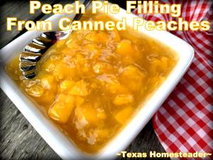 1 Serving Pie Filling - Peach