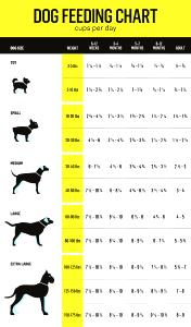 1 Serving Plain Dog