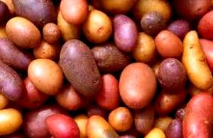1 Serving Plain Potato With Migraine