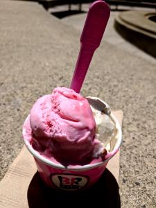 1 Serving Premium Churned Light Raspberry Chip Ice Cream - 2.5 Oz Scoop
