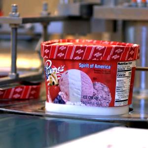 1 Serving Premium Churned Light Raspberry Chip Ice Cream - 4 Oz Scoop