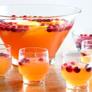 1 Serving Punch Drink