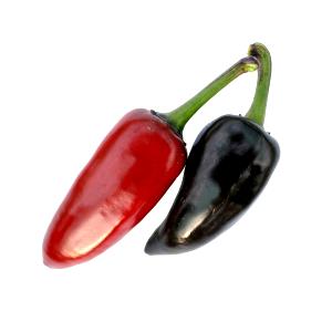 1 Serving Purple Jalapeno