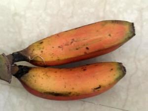 1 Serving Red Bananas