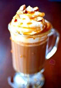1 Serving Short - Hazelnut Signature Hot Chocolate - Whip - Nonfat Milk