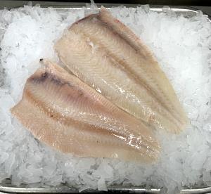 1 serving Sole Fish (4 Pieces)