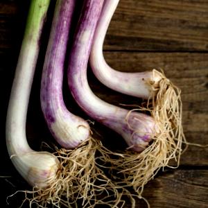 1 Serving Spring Garlic