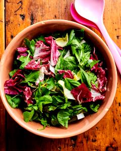 1 Serving Spring Mix - European Style Salad
