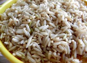 1 Serving Sprouted Brown Rice (Germinated)