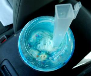 1 serving Strawberry Shortcake Friend-Z