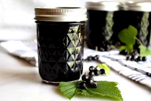 1 Serving Taste Explorers Blackcurrant Jelly