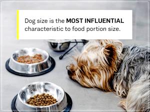 1 Serving The Good Dog