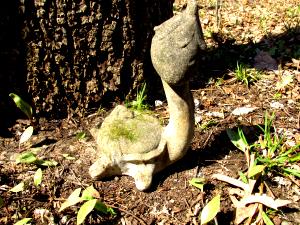 1 Serving Turtle Concrete, Tall