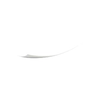 1 Serving Vanilla, Large