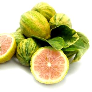 1 Serving Variegated Pink Lemons
