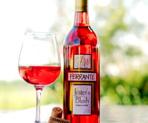 1 serving White or Red Blush Wine