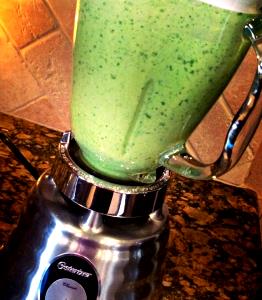1 shake (8 oz) Emerald Energy Shake