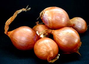 1 shallot (30 g) Shallots