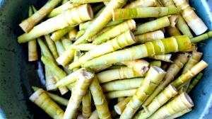 1 Shoot Bamboo Shoots, Boiled, No Salt