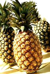 1 Slice (3-1/2" Dia X 3/4" Thick) Pineapple (Extra Sweet)