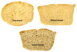 1 slice (31 g) 97% Fat Free Wholesome Meal Enriched Bread