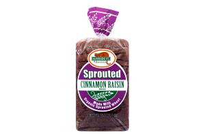 1 slice (34 g) Sprouted Wheat Cinnamon Raisin Bread