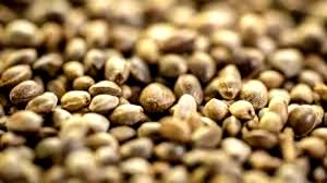 1 slice (40 g) The Great Hemp Seed
