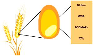 1 slice (57 g) George