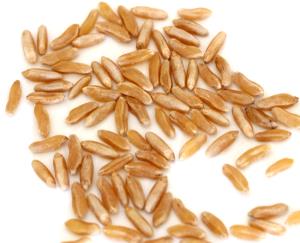 1 slice Ancient Kamut & Spelt Bread