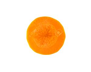 1 slice Carrot Slice