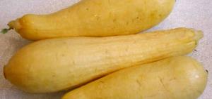 1 Slice Crookneck and Straightneck Summer Squash (Drained, Solid, Without Salt, Cooked, Boiled)