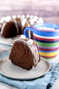 1 Slice Hot Cocoa Bundt Cake