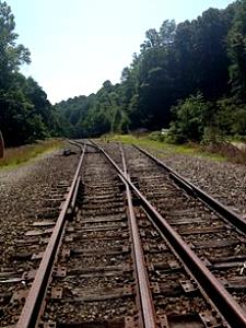 1 slice Railroad Grade