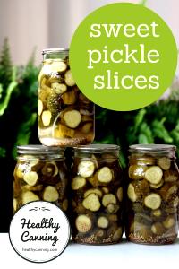 1 Slice Reduced Salt Sweet Cucumber Pickles