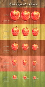 1 Small (2-1/2" Dia) (approx 4 Per Lb) Apple