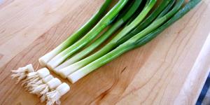 1 Small (3" Long) Cooked Young Green Onions (from Fresh, Fat Not Added in Cooking)