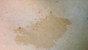 1 Small Cafe Au Lait, 2% Milk