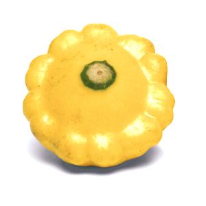 1 Small Cooked Summer Squash