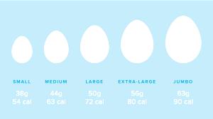 1 Small Egg (Whole)