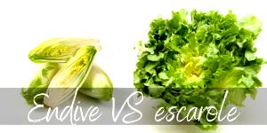 1 Small Head, Endive Endive, Chicory, Escarole or Romaine Lettuce