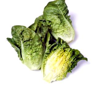 1 Small Leaf Manoa Lettuce