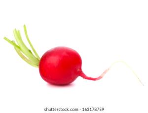 1 Small Radish