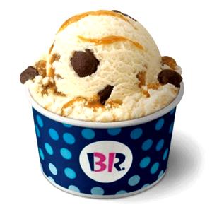 1 small scoop (2.5 oz) Reduced-Fat, No Sugar Added Caramel Turtle Truffle Ice Cream