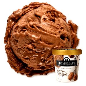 1 Small Scoop/dip Whole Milk Chocolate Frozen Yogurt