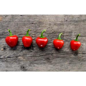1 Small Sweet Red Peppers