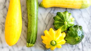 1 Small Yellow Summer Squash