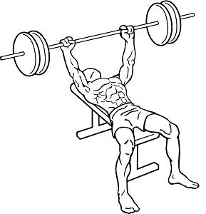 1 smoothie Bench Press