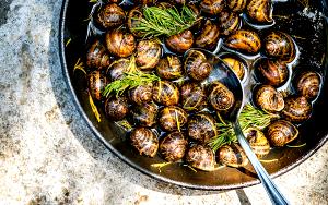 1 Snail Snails (Cooked)