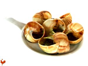 1 Snail Steamed or Poached Snails